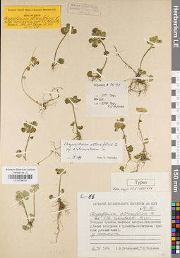 LE 01036151