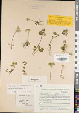 LE 01036152