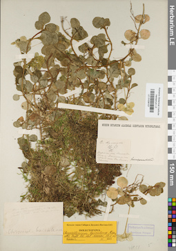 LE 01036157