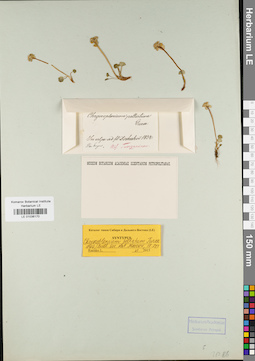 LE 01036170