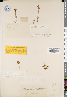 LE 01036171