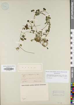 LE 01036173