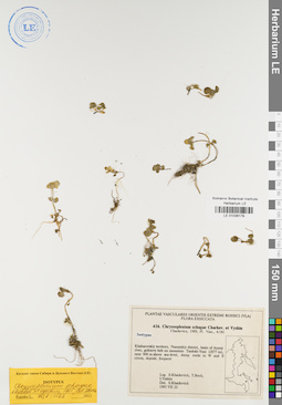LE 01036179