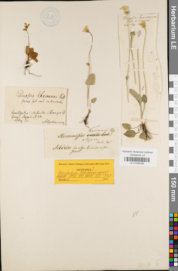 LE 01036186