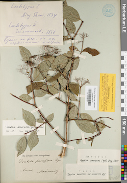 LE 01036187