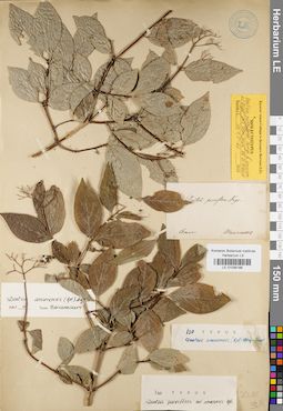 LE 01036188