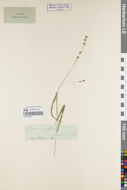 LE 01159421