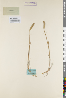 LE 01159449