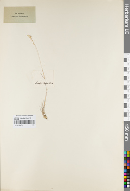 LE 01159479