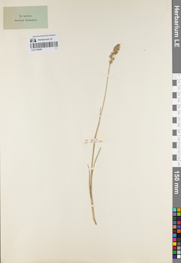 LE 01159489