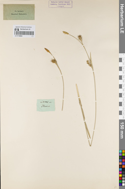 LE 01159604
