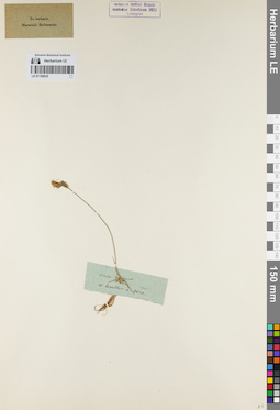 LE 01159635