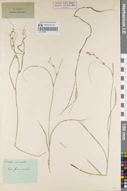 LE 01159638