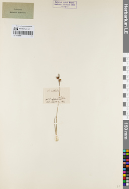 LE 01159649