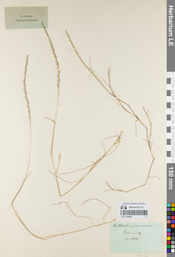 LE 01159699