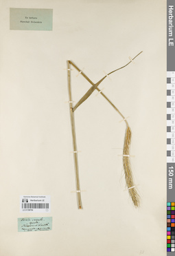 LE 01159704