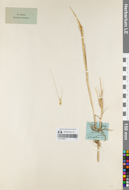 LE 01159707