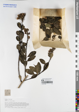 LE 01077403