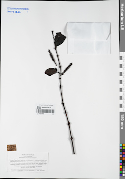 LE 01077405