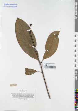LE 01077470