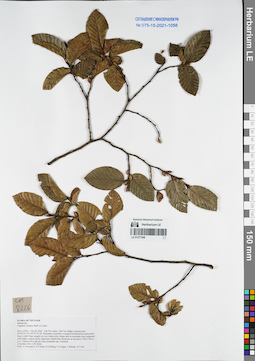 LE 01077548
