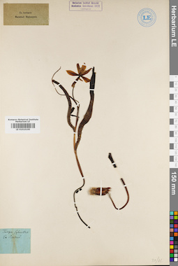 LE 01010195