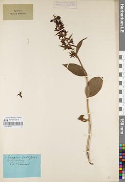 LE 01160121