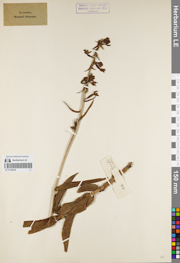 LE 01160128