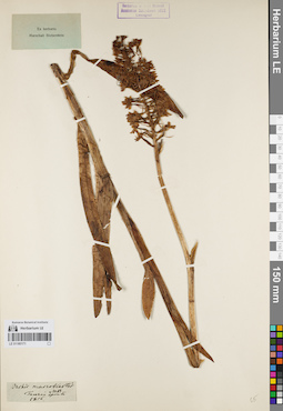 LE 01160171