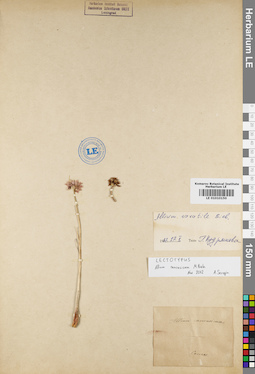 LE 01010150