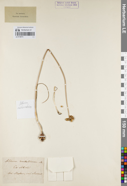 LE 01159773