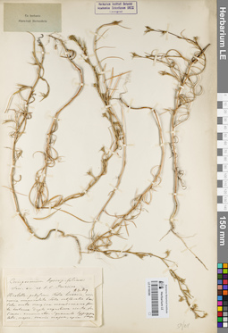 LE 01160389