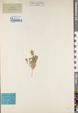 LE 01160392