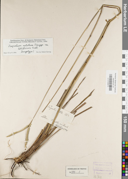 LE 01039473