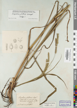 LE 01043553