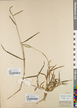 LE 01154438