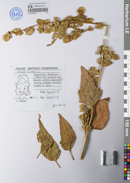 LE 01109514