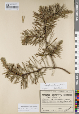 LE 01145758