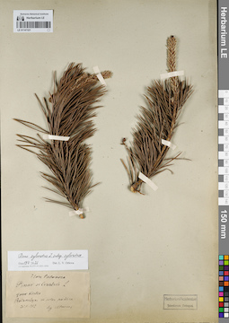 LE 01147321