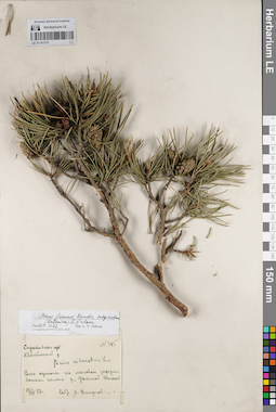 LE 01147578