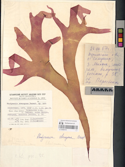 LE A0000178