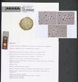 LE A0000363