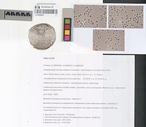 LE A0000367