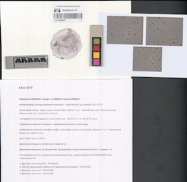 LE A0000370