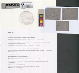 LE A0000371