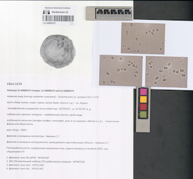 LE A0000372