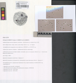 LE A0000373