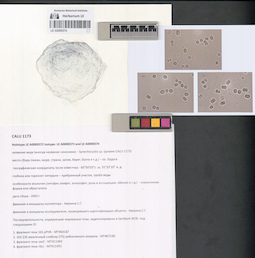 LE A0000374