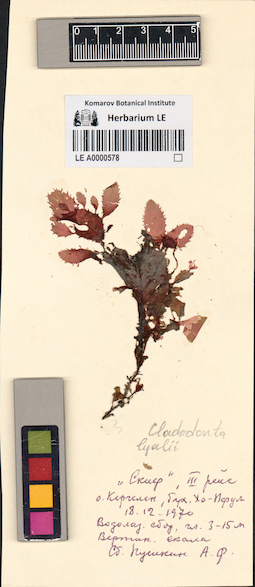 LE A0000578