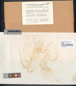 LE A0000644